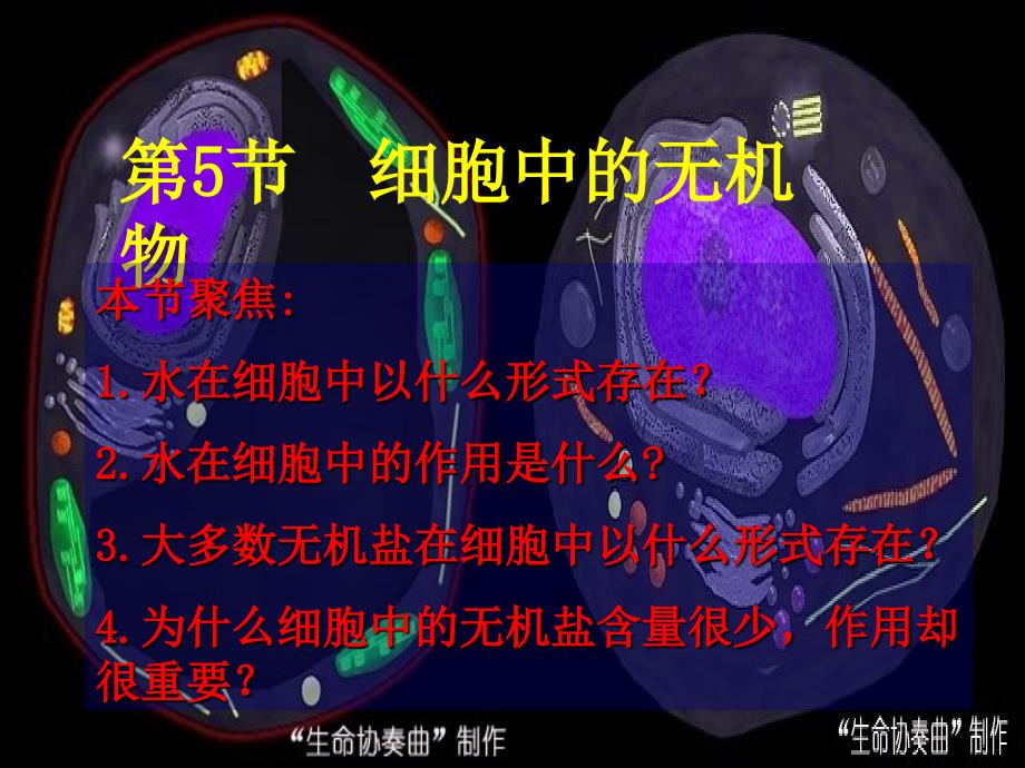 细胞中的元素和化合物PPT1(教育精品)_第1页