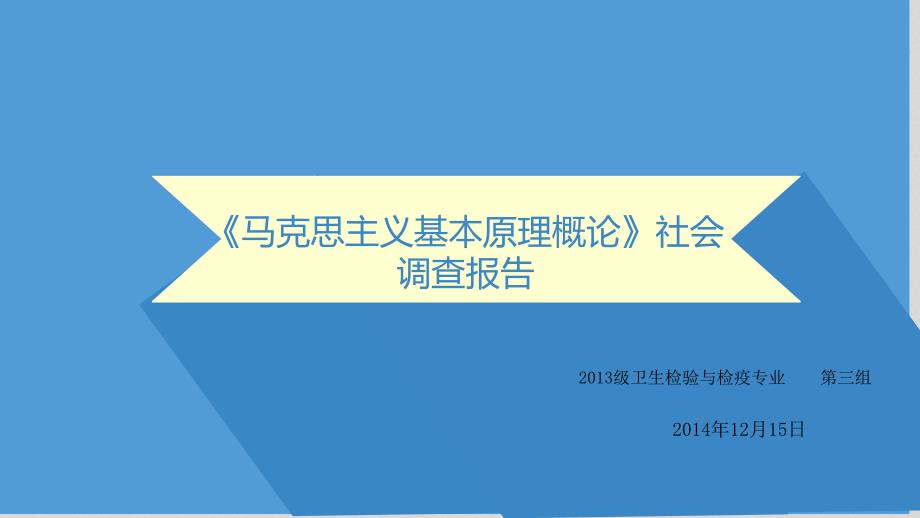 《马克思主义基本原理概论》社会调查报告_第1页