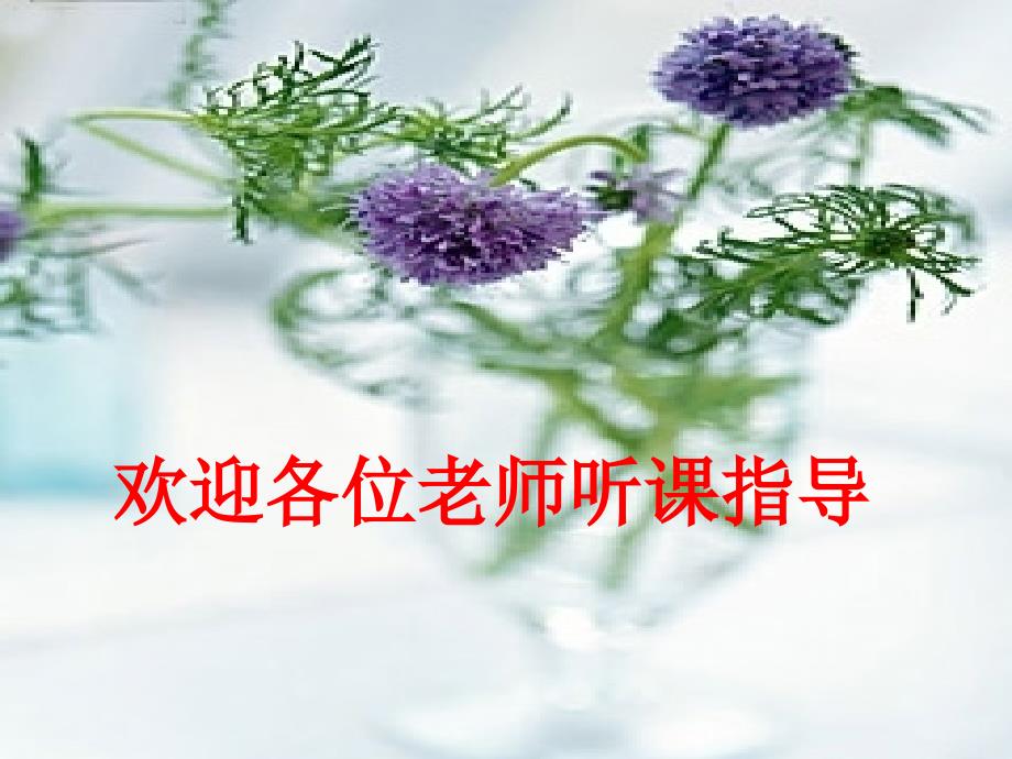 (北师大版)六年级数学上册课件比的认识_第1页