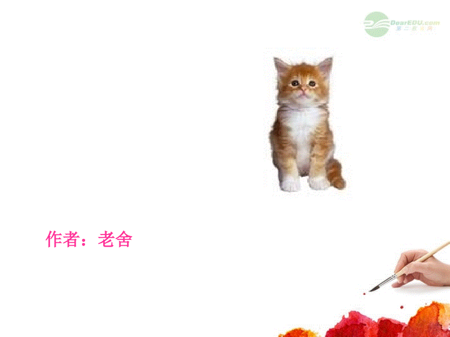 五年级语文上册猫5课件北京版_第1页