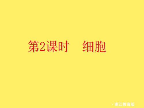 浙江省紹興市中考科學(xué)一輪復(fù)習(xí)第2課時《細胞》課件浙教版