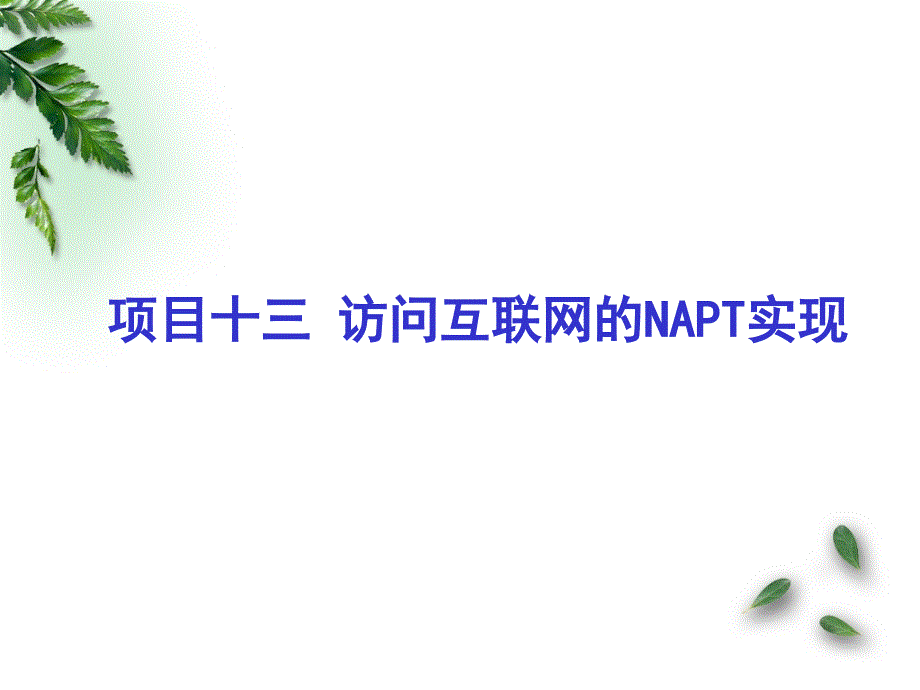 互联网访问的NAPT实现_第1页