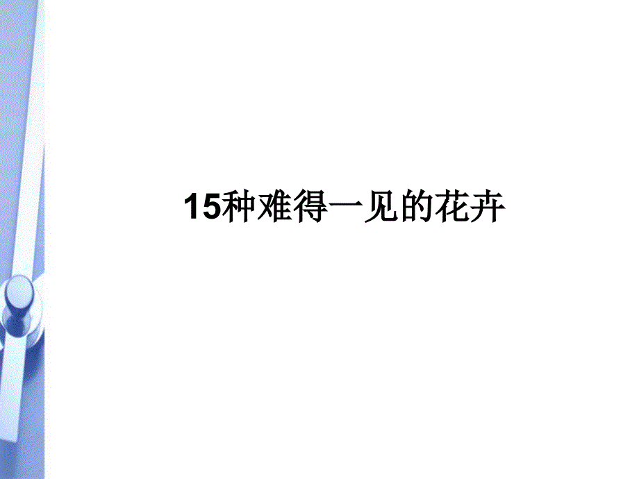 七年级生物上册15种难得一见的花图片1课件人教新课标版_第1页