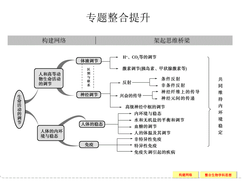 专题五生命活动的调节整合提升_第1页