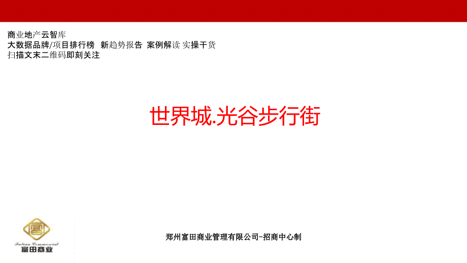 武汉世界城光谷步行街调研报告_第1页