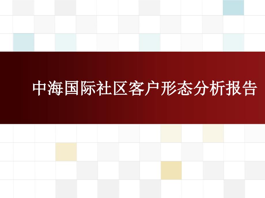 沈阳中海国际社区客户形态分析报告_第1页