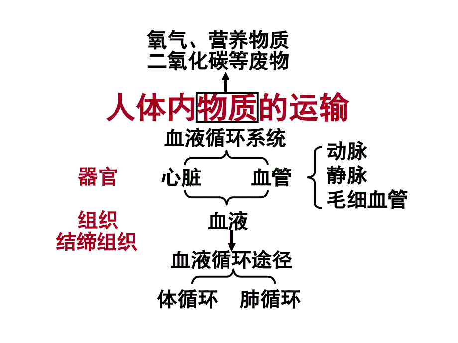 人体内物质的运输复习_第1页