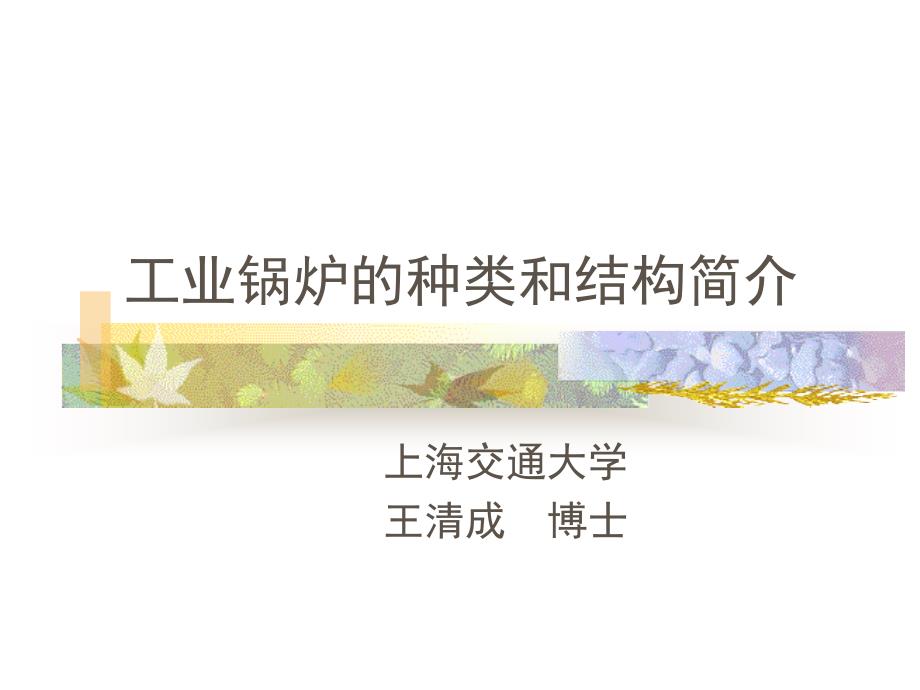 工业锅炉的种类和结构简介_第1页