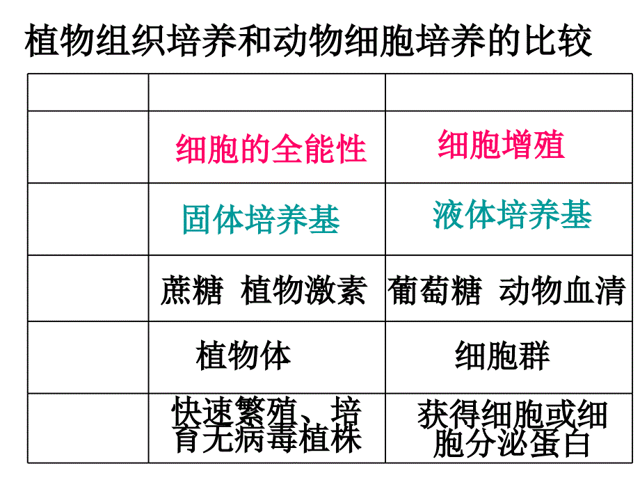 动物细胞工程(第三课时)_第1页