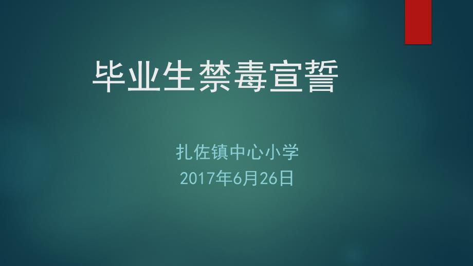 毕业生禁毒宣誓_第1页