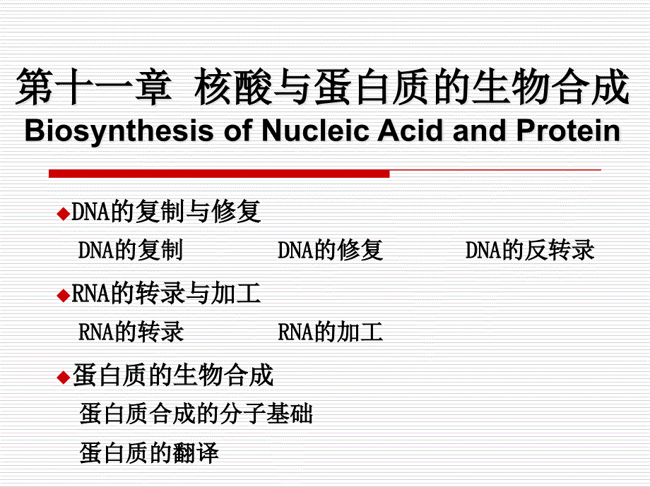 核酸与蛋白质的生物合成_第1页