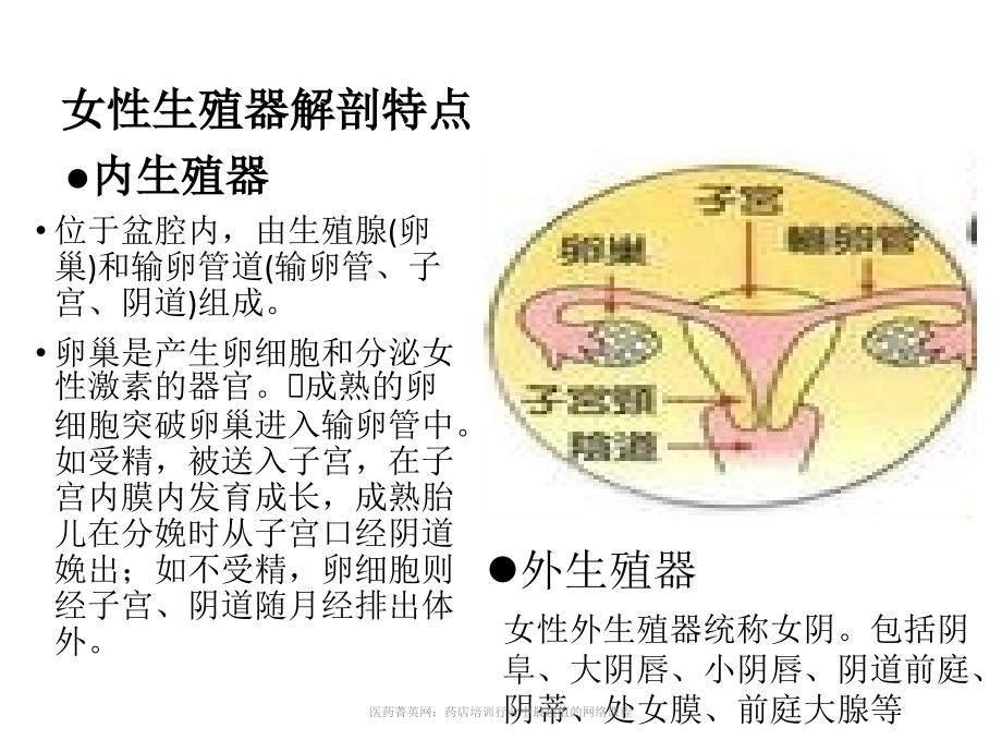 妇科课程(适合新员工)_第1页