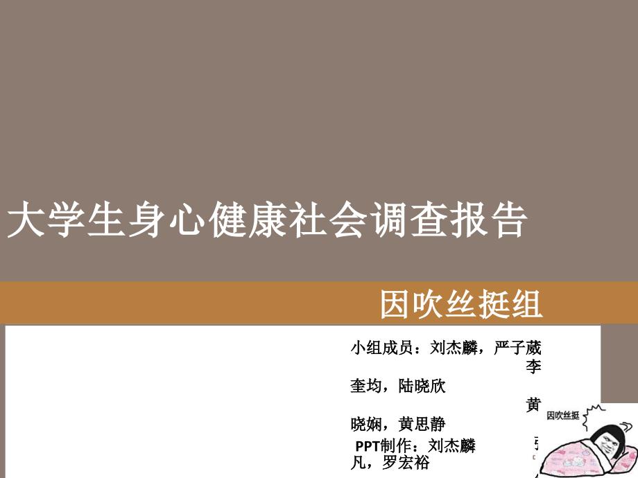 大学生身心健康社会调查报告_第1页