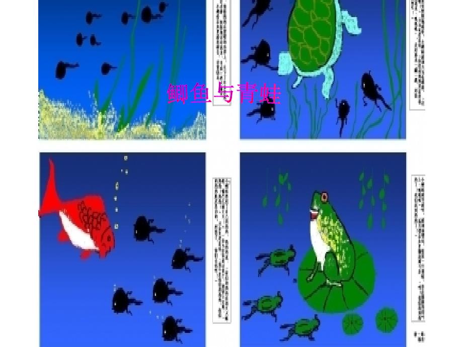 小学三年级科学第六课《鲫鱼与青蛙》_第1页