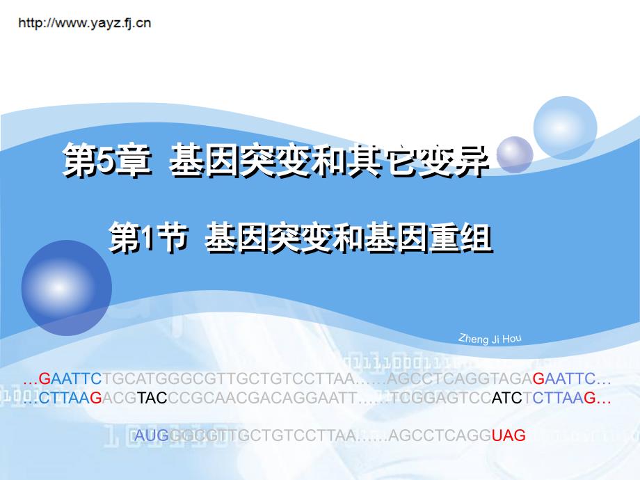 基因突变和基因重组_第1页