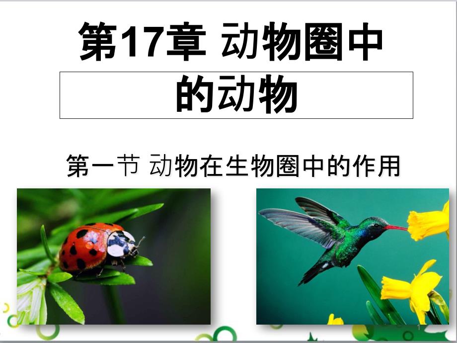 八年级生物上册 17.1《动物在生物圈中的作用》课件5 （新版）北师大版_第1页