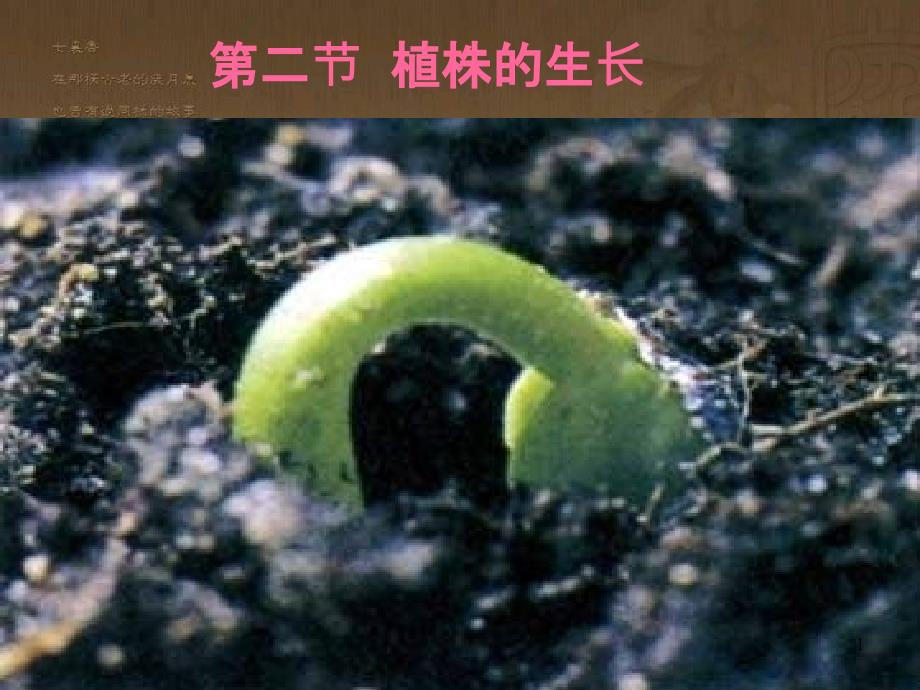 七年级生物上册 第二单元 第一章 第一二节综合课件 （新版）新人教版 (220)_第1页