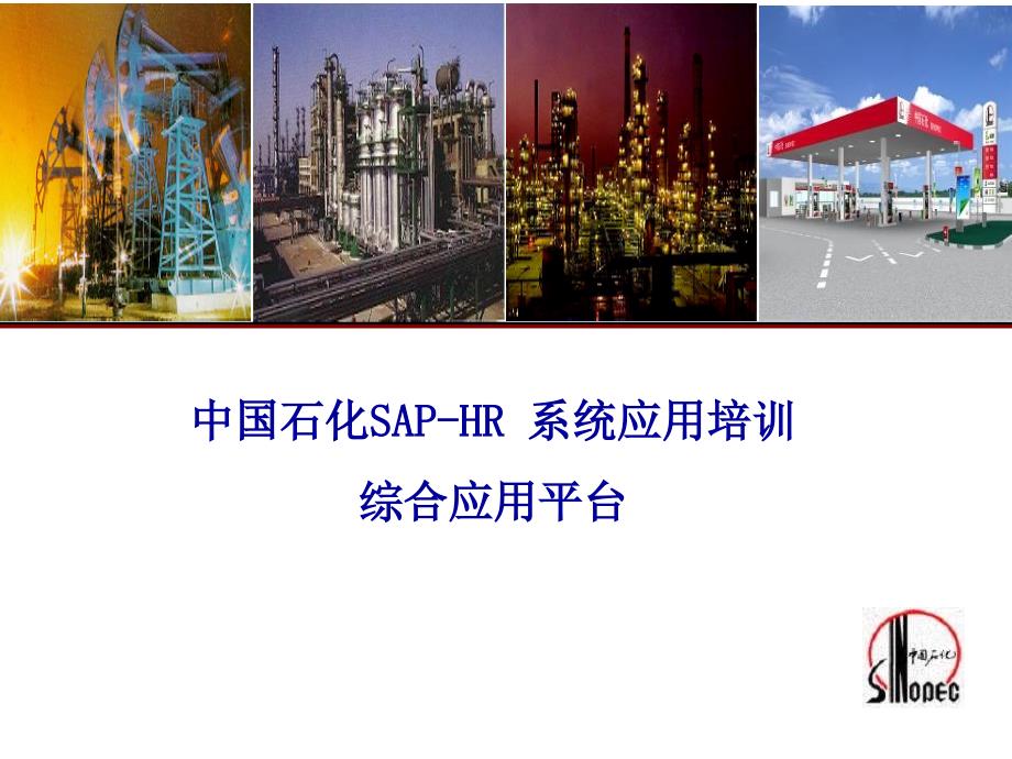 中国石化SAPHR_综合应用功能平台_第1页