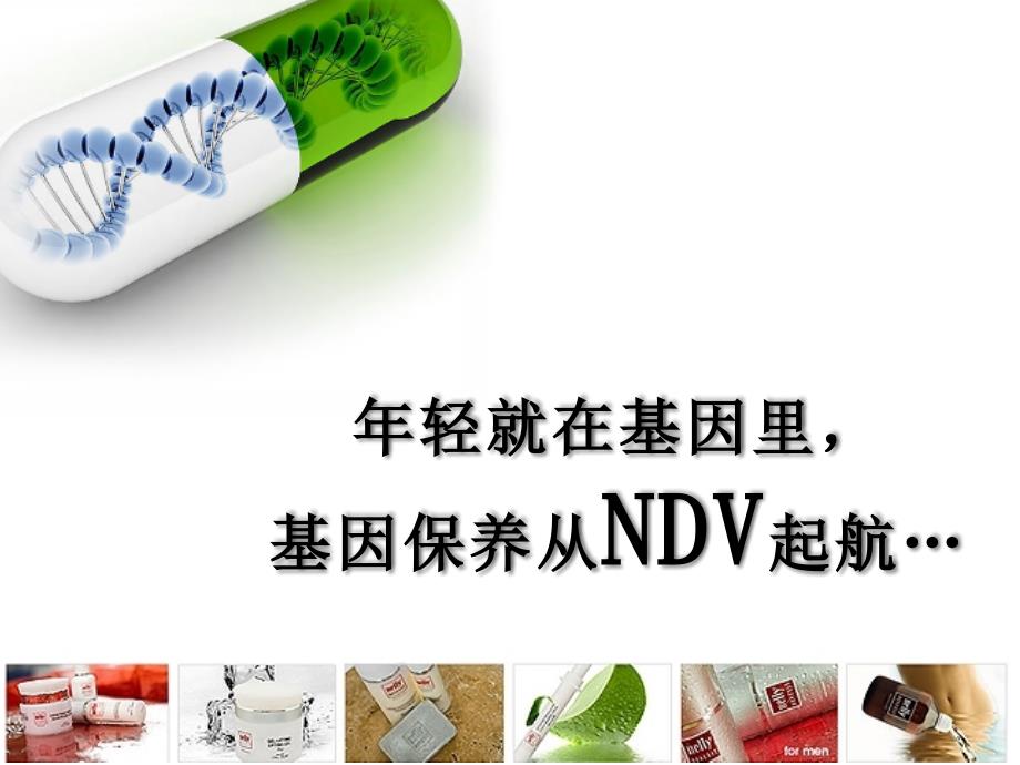 NDV品牌招商会_第1页