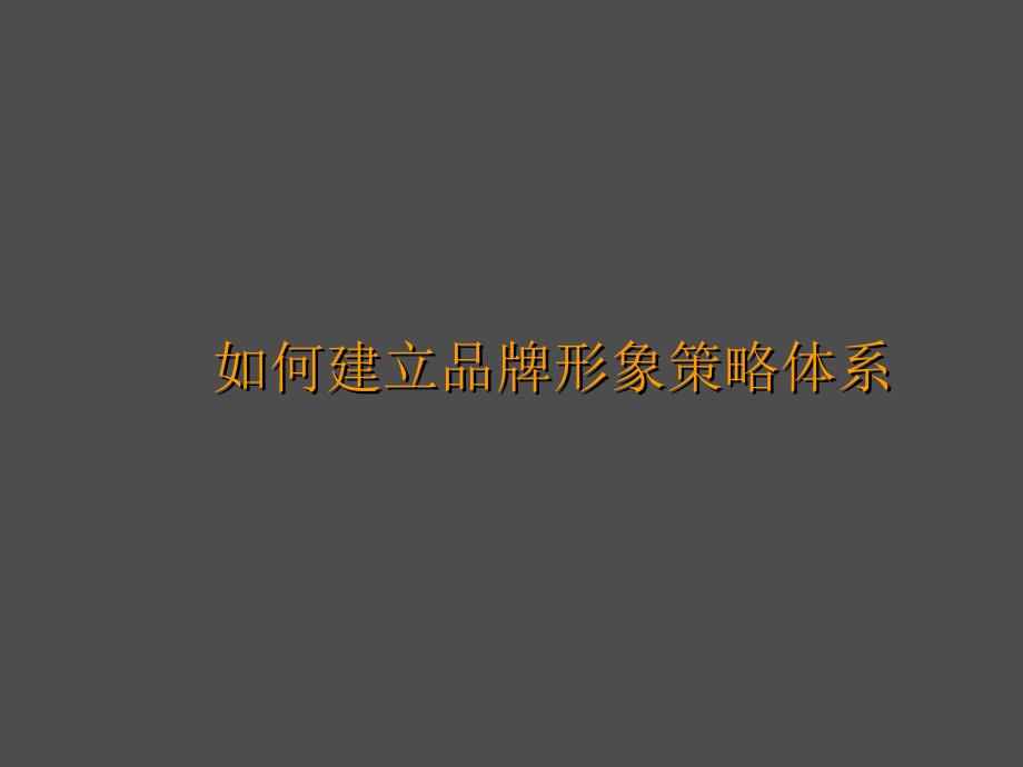 如何建立品牌形象体系课件_第1页