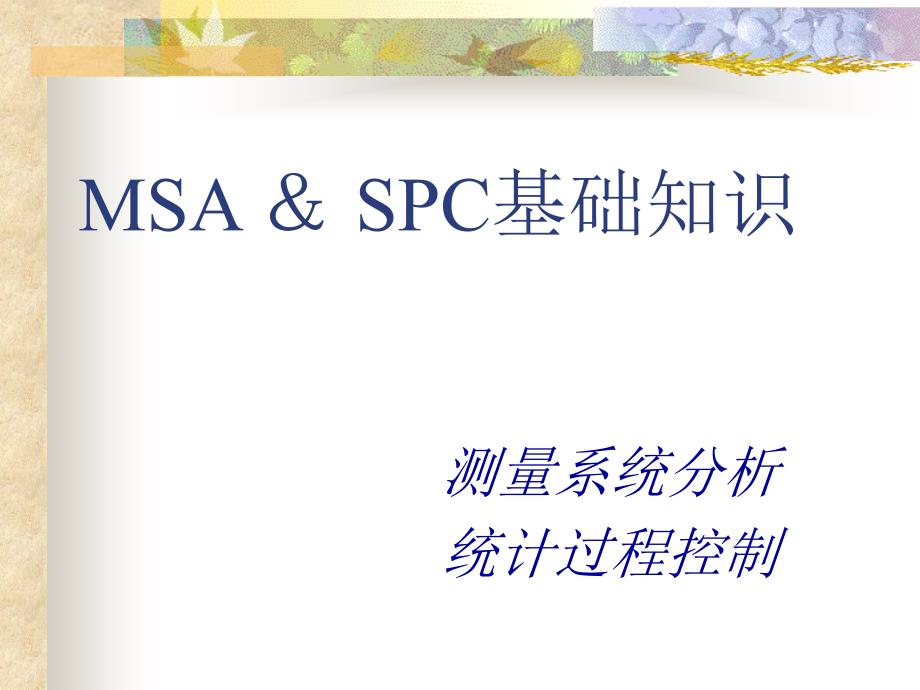 MSA＆SPC基础知识_第1页