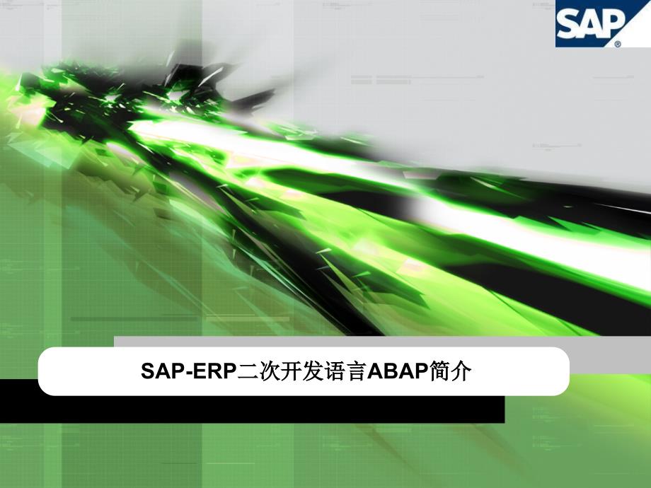 SAP-ERP简介_第1页