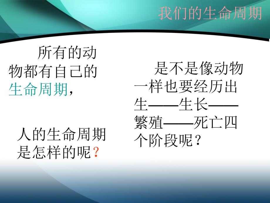 7我们的生命周期课件_第1页