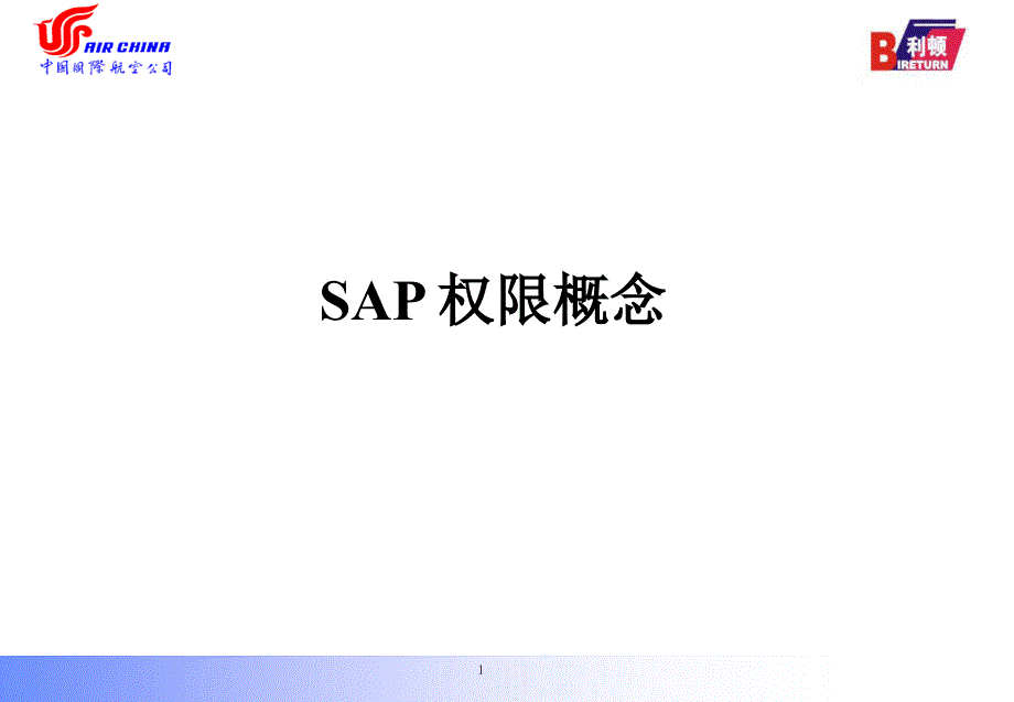 SAPBASIS权限使用总结_第1页