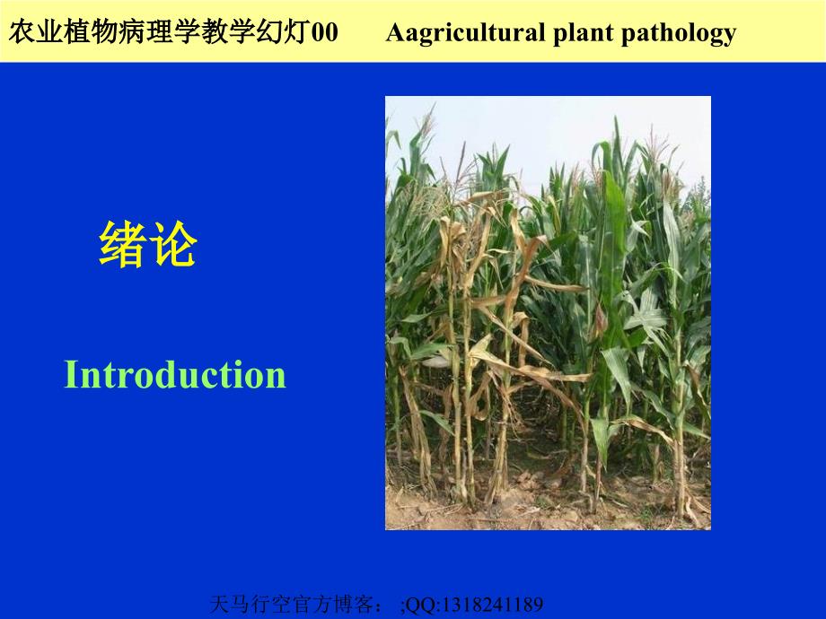 农业植物病理学绪论(-17页)课件_第1页