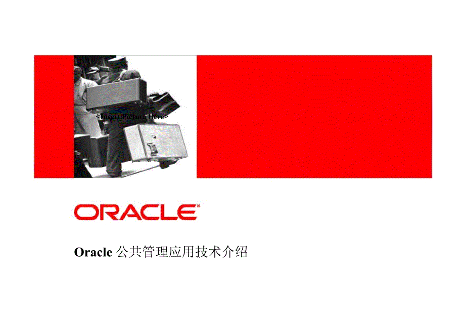 Oracle公共部门解决方案_第1页