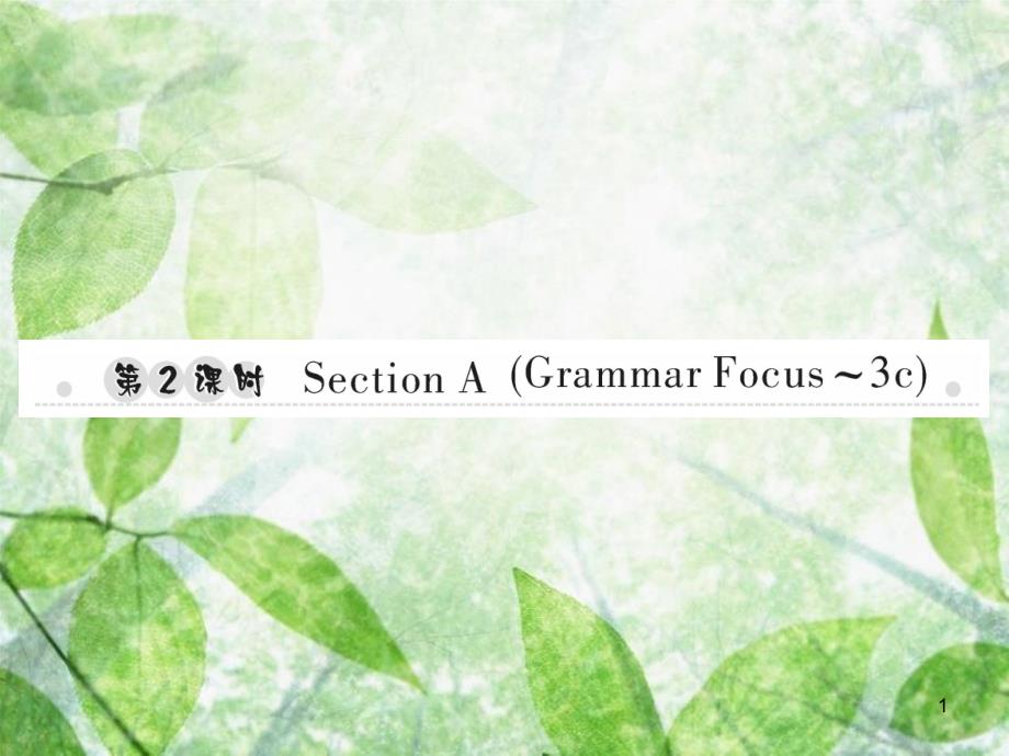 七年级英语上册 Unit 6 Do you like bananas（第2课时）Section A（Grammar Focus-3c）习题优质课件 （新版）人教新目标版_第1页