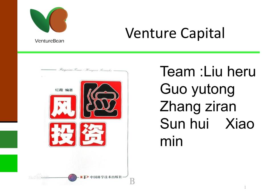 Venture_Capital_风险投资2_第1页