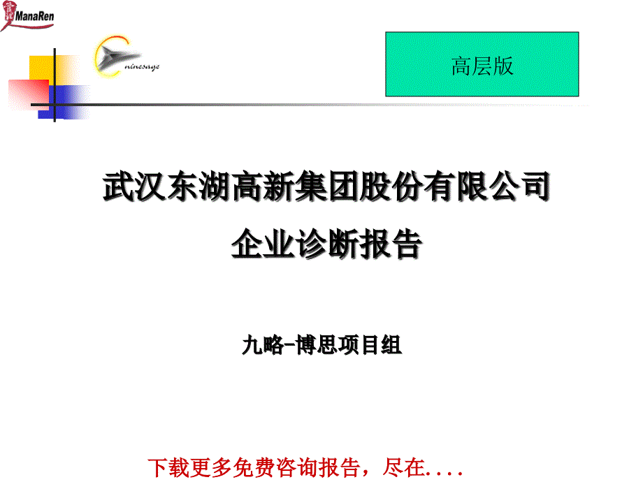 九略-武汉东湖高新-集团内部诊断报告_第1页