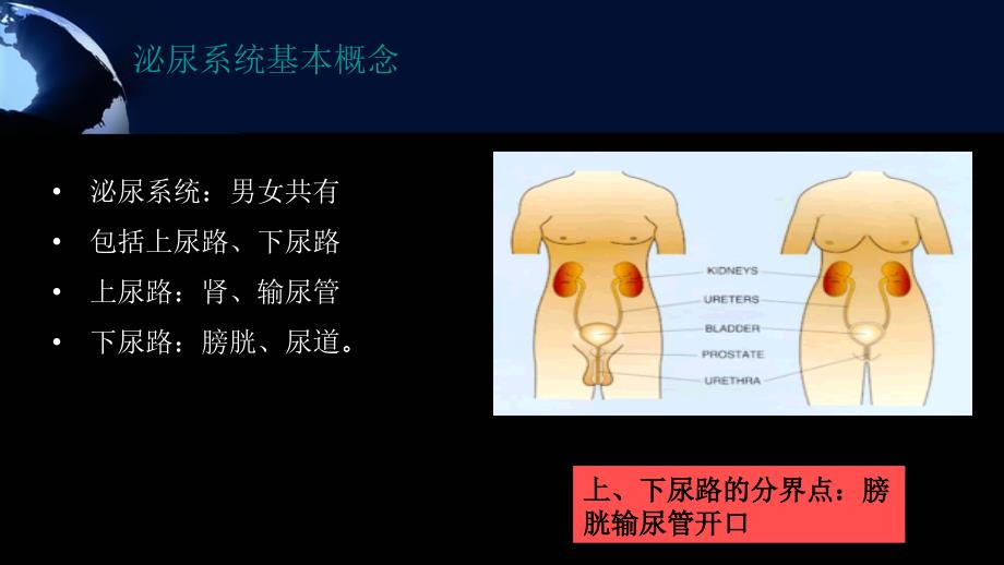 单纯性尿路感染课件_第1页