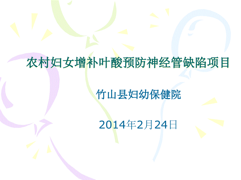 X年增补叶酸预防神经管缺陷项目培训教案_第1页