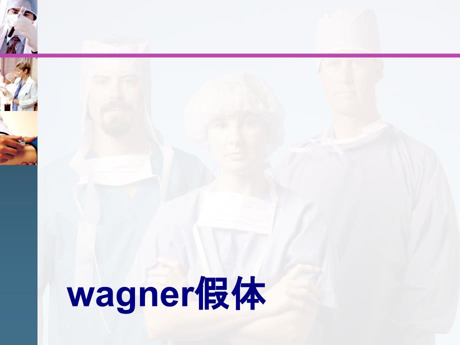 wagner假体课件_第1页