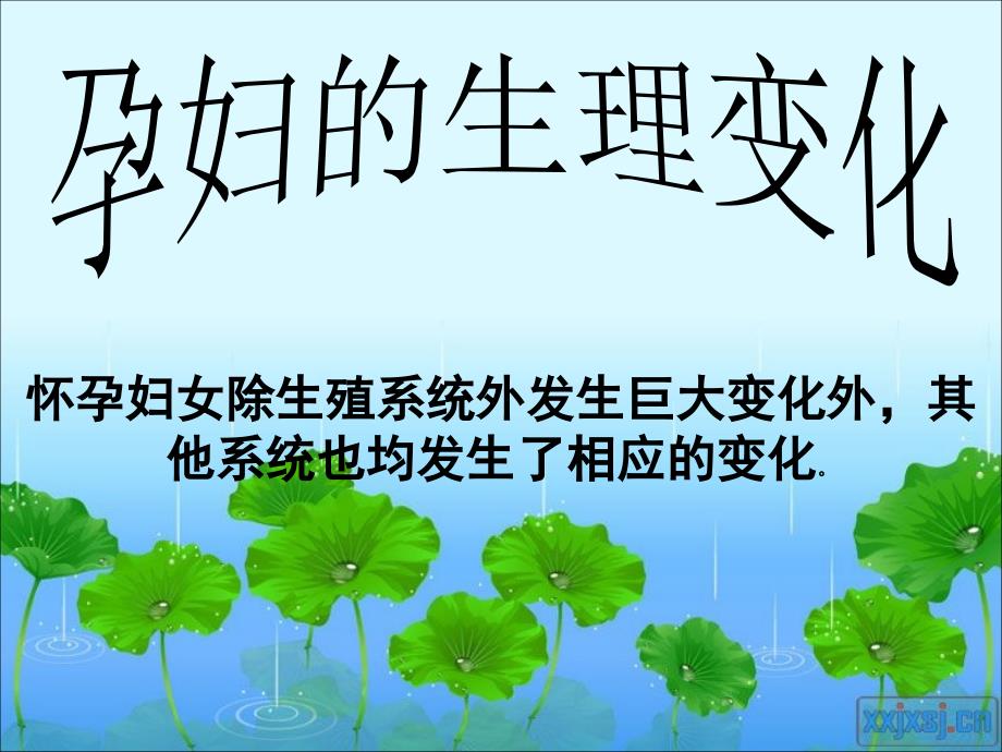 产前、产后的基本生理课件_第1页