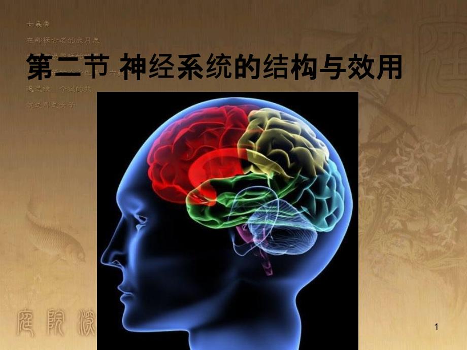 高中生物 第二章 动物生命活动的调节 2.2 神经系统的结构与功能课件 浙科版必修3 (1)_第1页