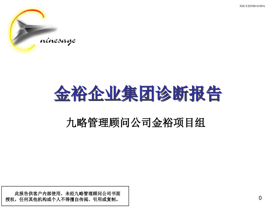 九略-金裕-集团公司诊断报告_第1页