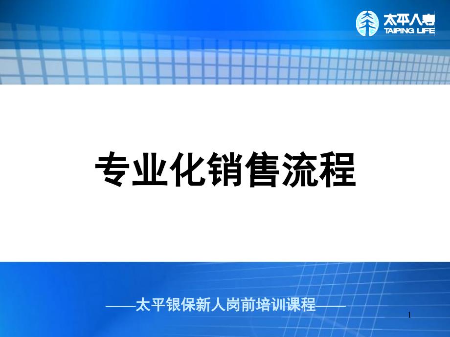 专业化销售流程（PPT32页)_第1页