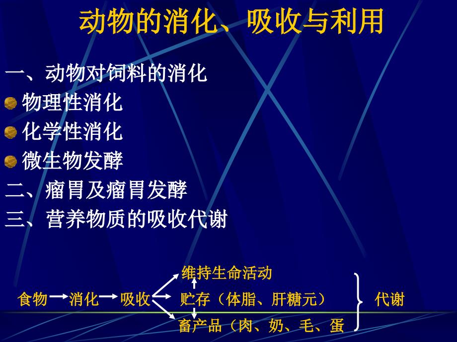 动物的消化、吸收和利用课件_第1页