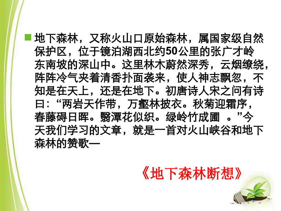 地下森林断想(公开课)精讲课件_第1页