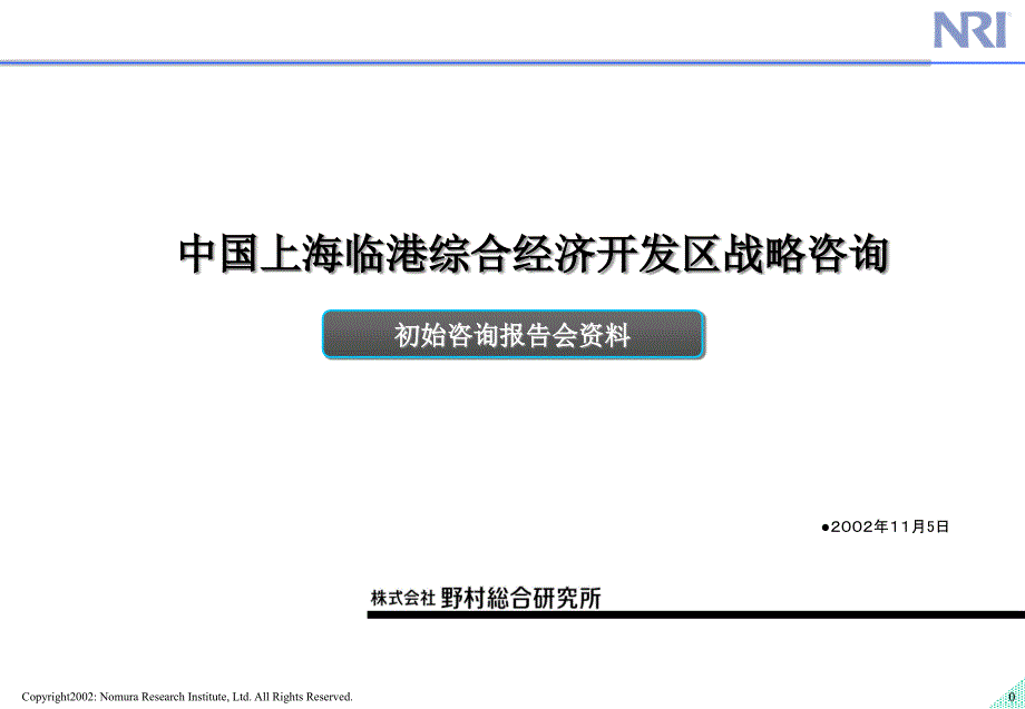 上海临港综合经济开发区战略咨询报告_第1页