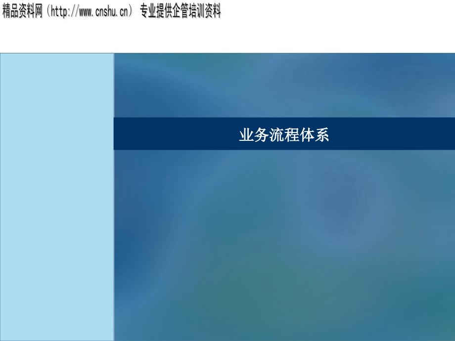 业务流程管理体系_第1页