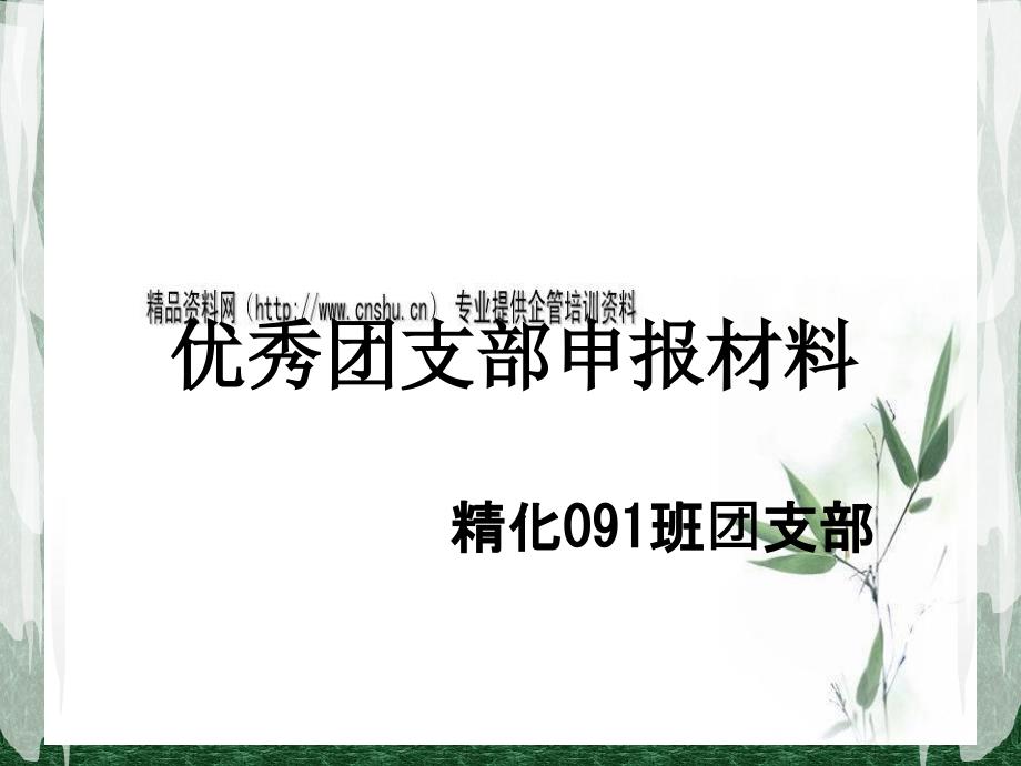 优秀团支部申报资料_第1页