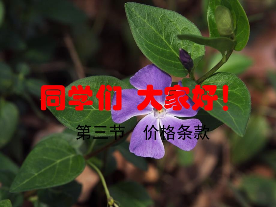 第三节----价格条款课件_第1页