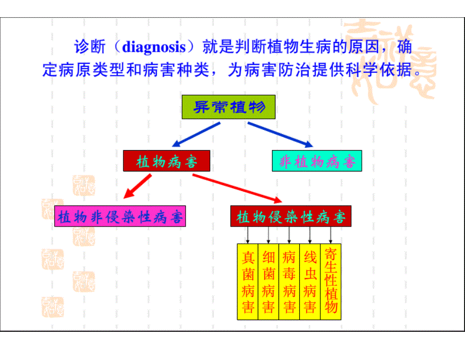 植物病原物的分类及鉴定课件_第1页