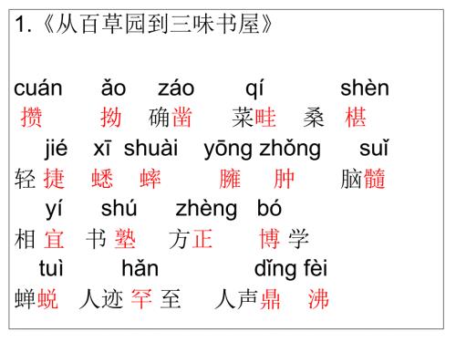 期末復(fù)習(xí)專項(xiàng)一----詞語..課件