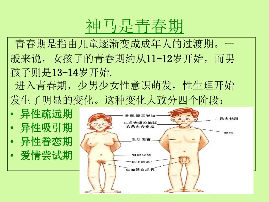 性行为与决定演示文稿课件_第1页