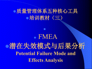 某公司質(zhì)量管理體系五種核心工具FMEA